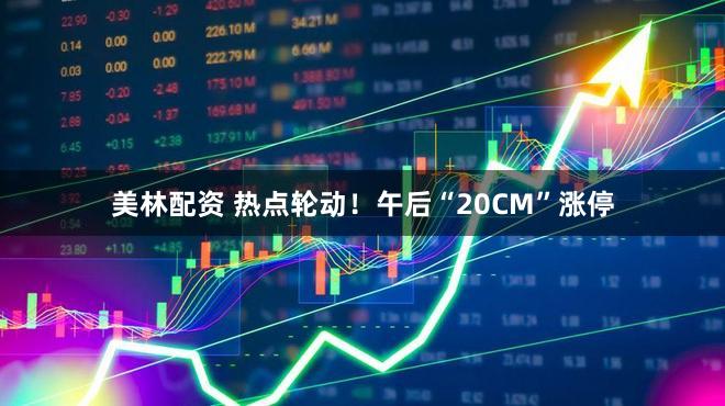 美林配资 热点轮动！午后“20CM”涨停