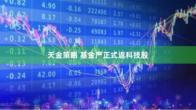 天金策略 基金严正式返科技股