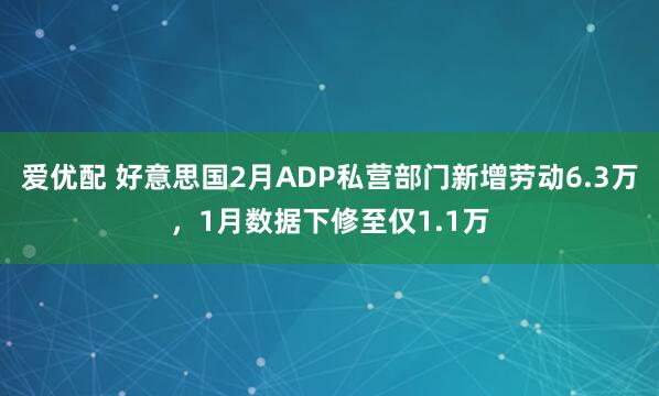 爱优配 好意思国2月ADP私营部门新增劳动6.3万，1月数据下修至仅1.1万