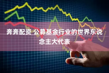 奔奔配资 公募基金行业的世界东说念主大代表