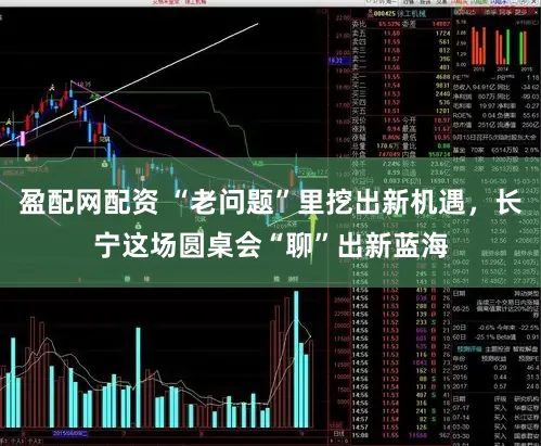 盈配网配资 “老问题”里挖出新机遇，长宁这场圆桌会“聊”出新蓝海