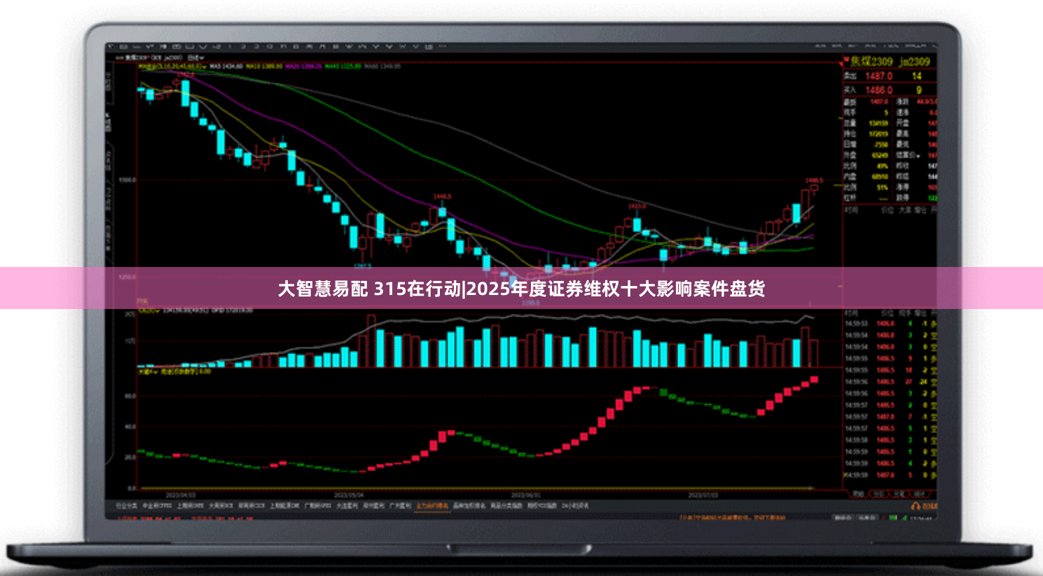 大智慧易配 315在行动|2025年度证券维权十大影响案件盘货