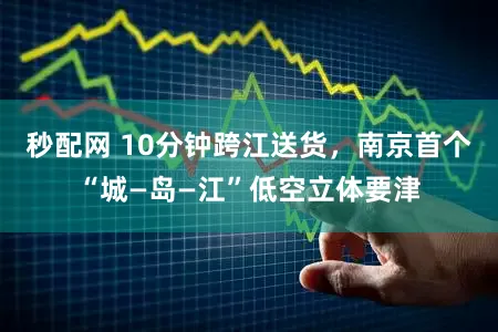 秒配网 10分钟跨江送货，南京首个“城—岛—江”低空立体要津