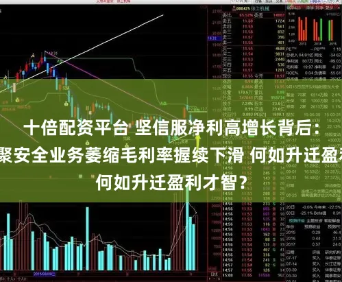 十倍配资平台 坚信服净利高增长背后：传统相聚安全业务萎缩毛利率握续下滑 何如升迁盈利才智？