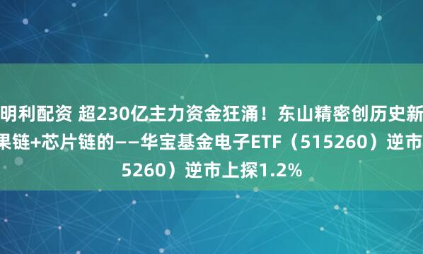 明利配资 超230亿主力资金狂涌！东山精密创历史新高，障翳果链+芯片链的——华宝基金电子ETF（515260）逆市上探1.2%