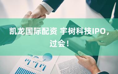 凯龙国际配资 宇树科技IPO，过会！